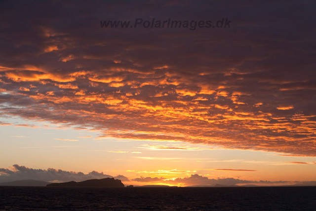 West Falkland sunrise_MG_7516