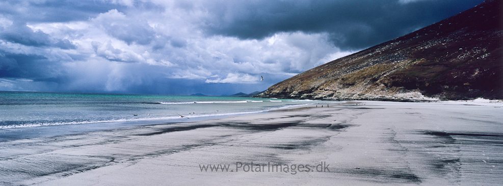 Saunders Island (1)