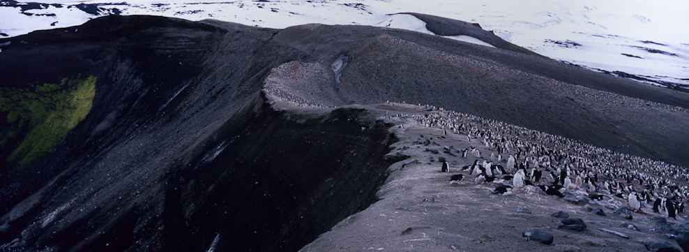 Baily Head, Deception Island (12)