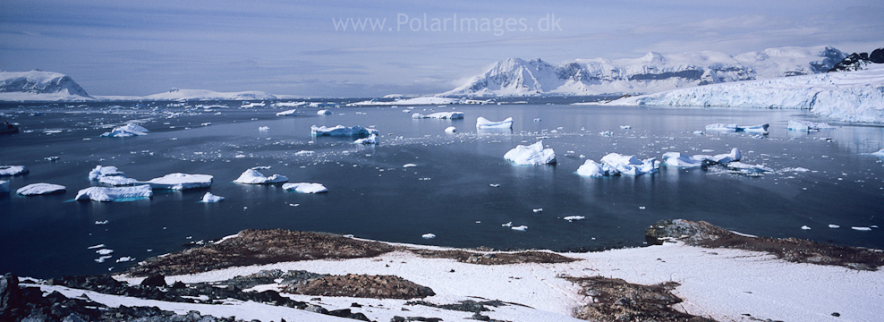 Cuverville Island (1)