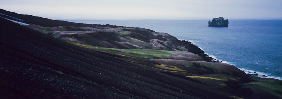 Large Chinstrap rookery, south side of Deception Island (2)