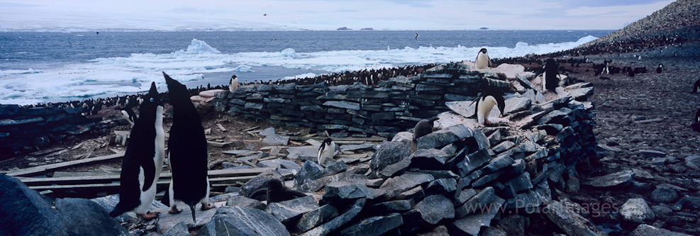 Larsen's hut, Paulet Island