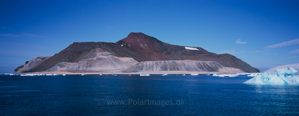 Paulet Island (6)