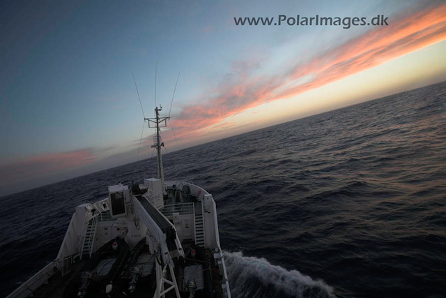 Drake Passage Maryshev_MG_4146