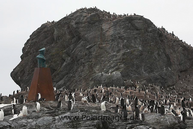 Point Wild, Elephant Island_MG_0018