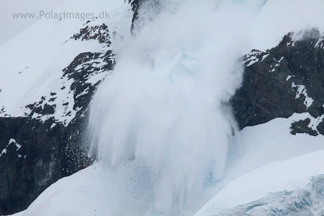 Avalanche, Andvord Bay_MG_1149