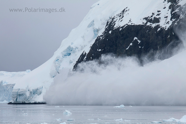 Avalanche, Andvord Bay_MG_1152