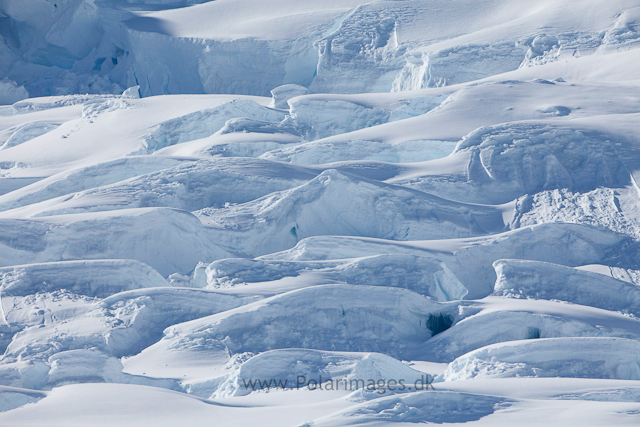 Glacier impressions, Paradise Bay_MG_0715