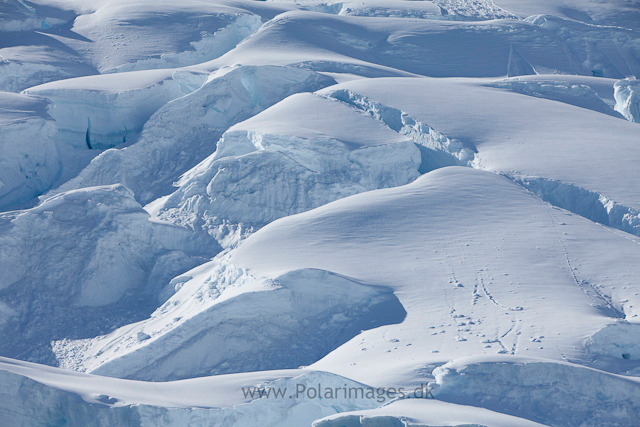 Glacier impressions, Paradise Bay_MG_0723