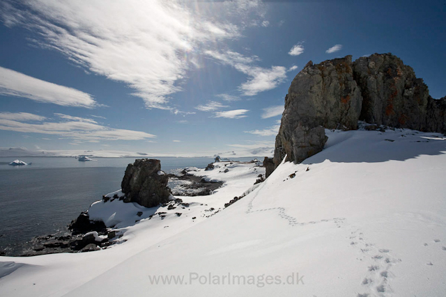 Half Moon Island_MG_2095