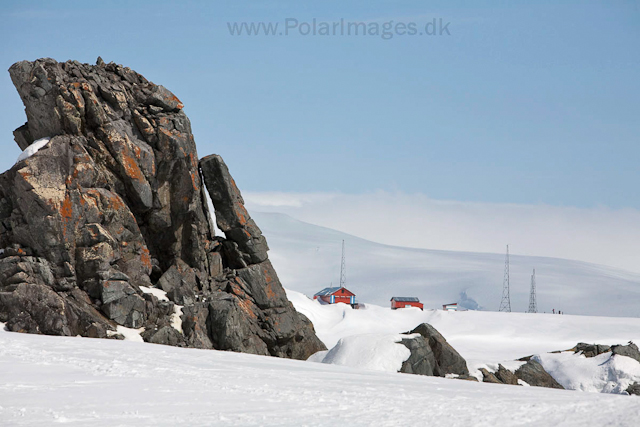 Half Moon Island_MG_2122