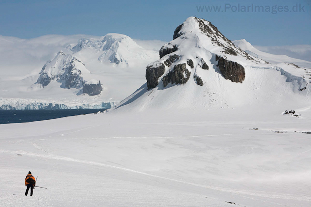 Half Moon Island_MG_2135