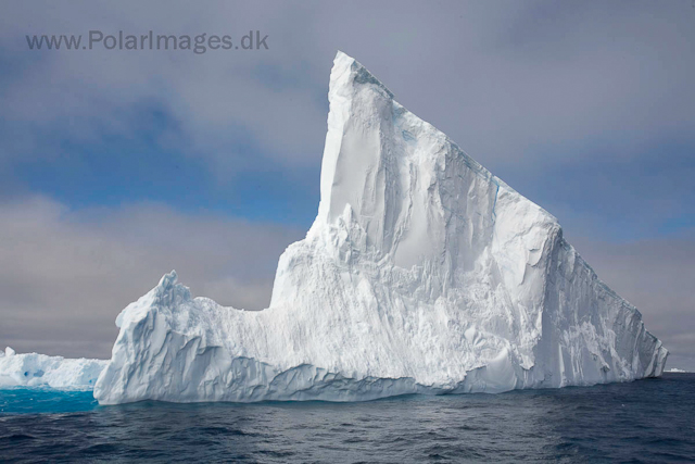 Iceberg_MG_0939