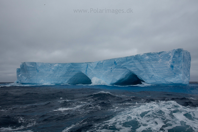 Iceberg, Weddell Sea_MG_3553