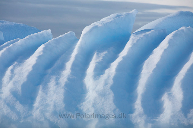 Icebergs near Booth Island_MG_4661