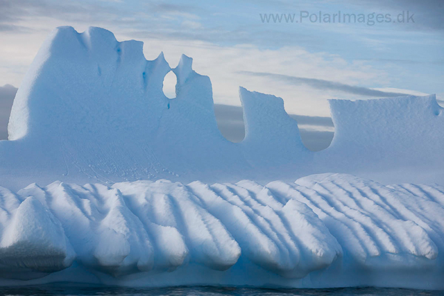 Icebergs near Booth Island_MG_4677