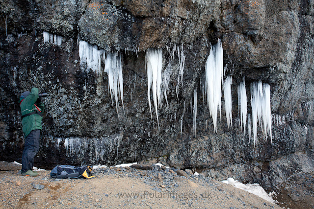 Icicles, Brown Bluff_MG_3614