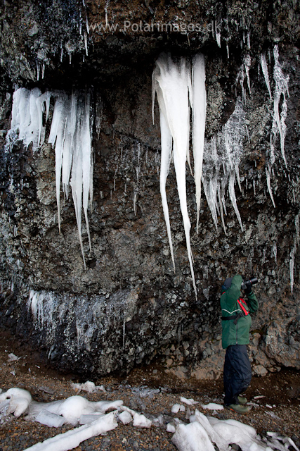 Icicles, Brown Bluff_MG_3618