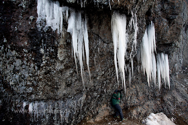 Icicles, Brown Bluff_MG_3622