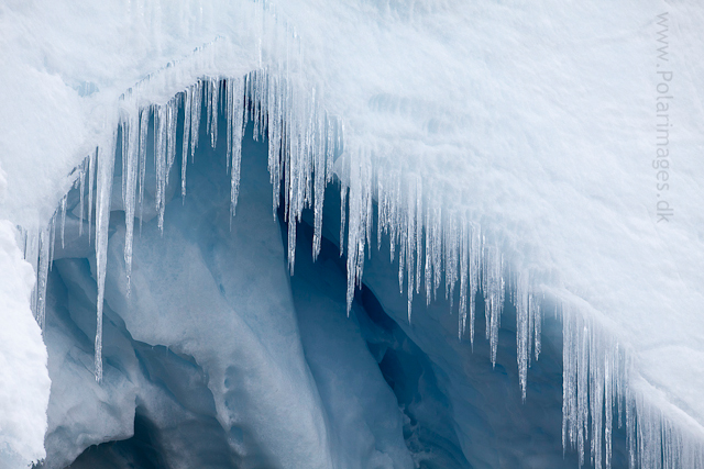 Icicles, Deloncle Bay, Lemaire Channel_MG_0782