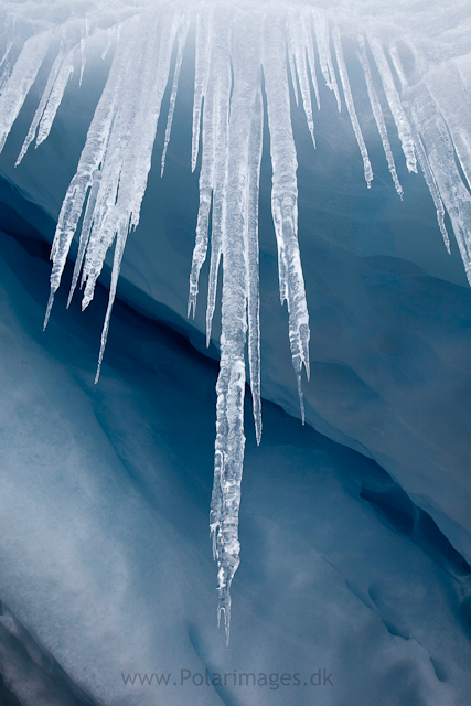 Icicles, Deloncle Bay, Lemaire Channel_MG_0805