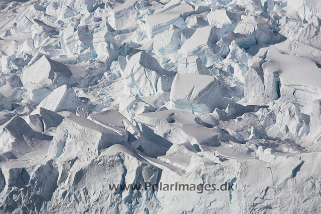 Neko glacier_MG_9837