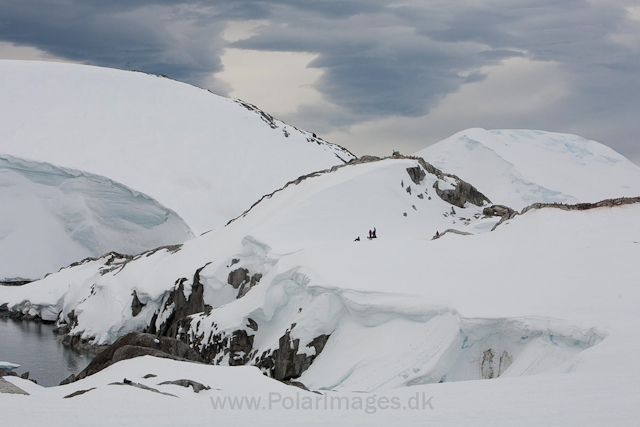 Petermann Island_MG_2286