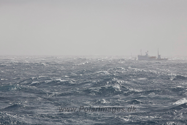 Drake Passage storm_MG_9760