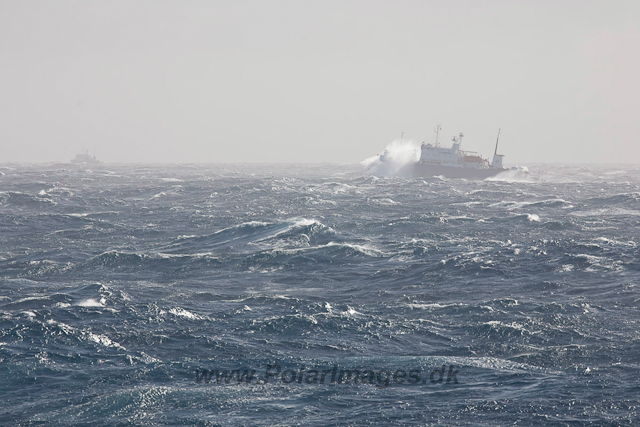 Drake Passage storm_MG_9765