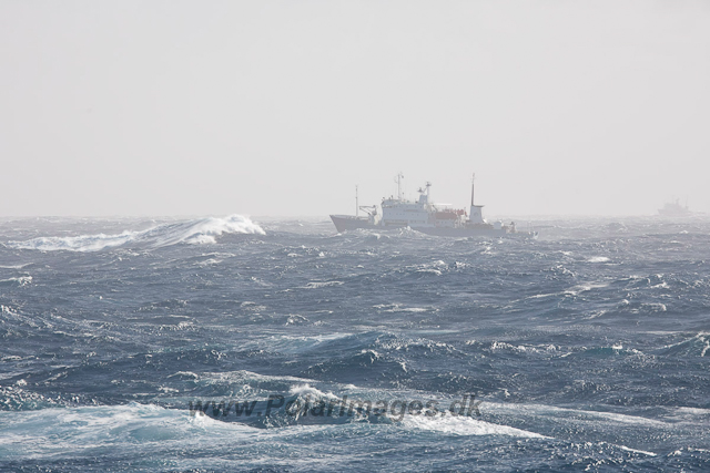 Drake Passage storm_MG_9776