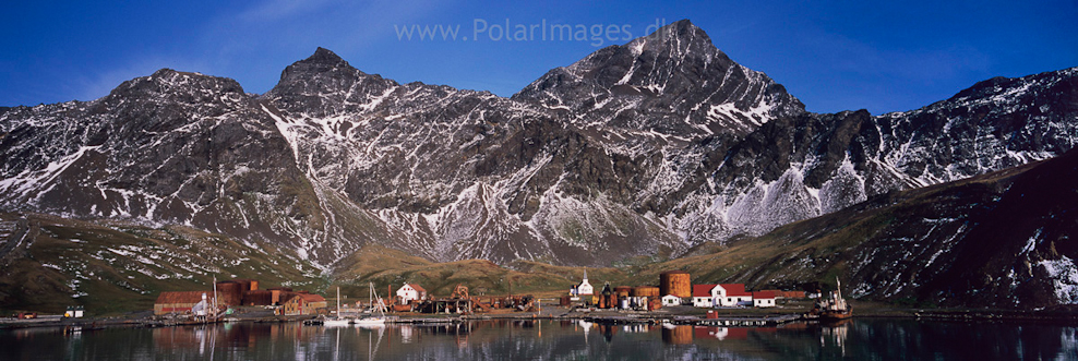 Grytviken