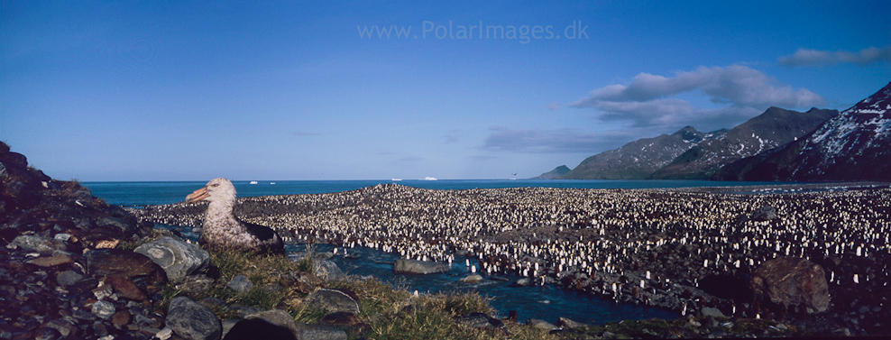 St Andrews Bay (6)