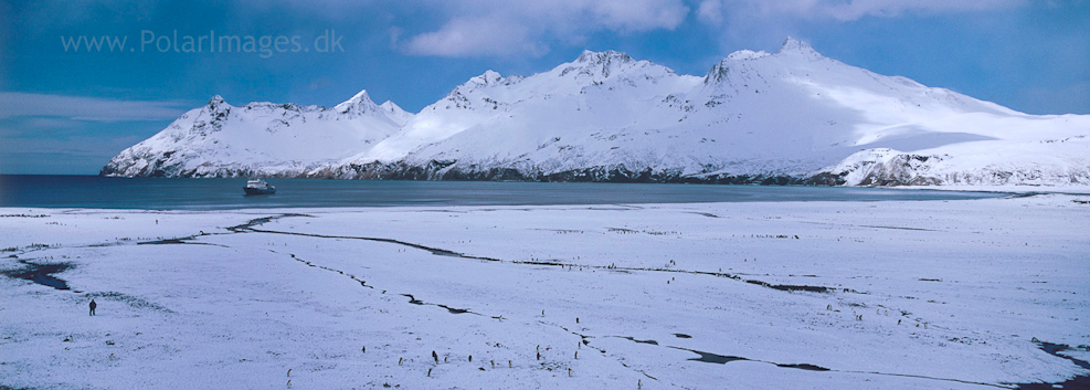 St Andrews Bay, South Georgia (1)