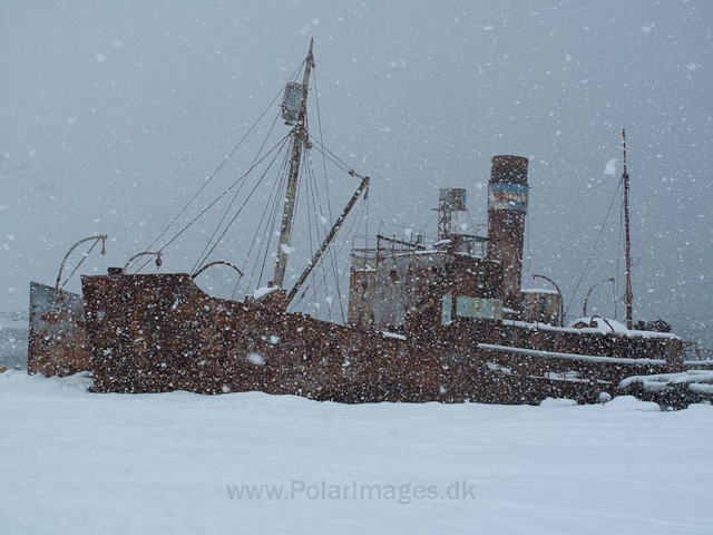 Grytviken IMG_0556