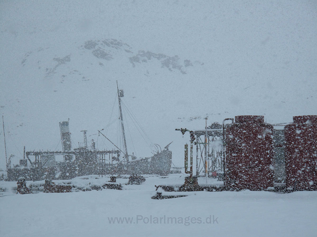 Grytviken IMG_0561