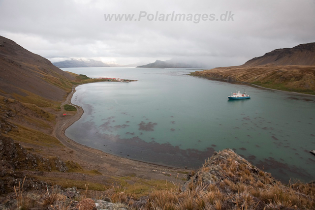 Grytviken, King Edward Cove_MG_1578