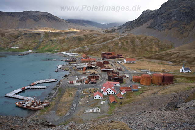 Grytviken_MG_1572