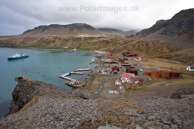 Grytviken_MG_1574