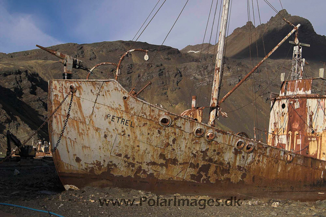 Grytviken PICT6941