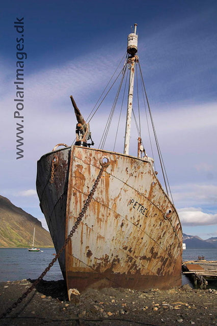 Grytviken PICT6943