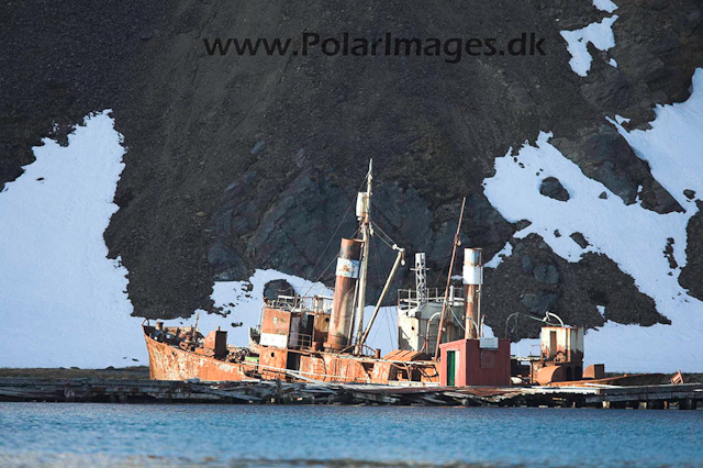 Grytviken SG _MG_0998