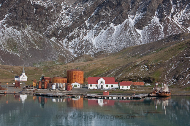 Grytviken Whaling Station_MG_8173