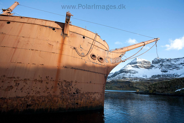 Prins Olav Harbour_MG_0547