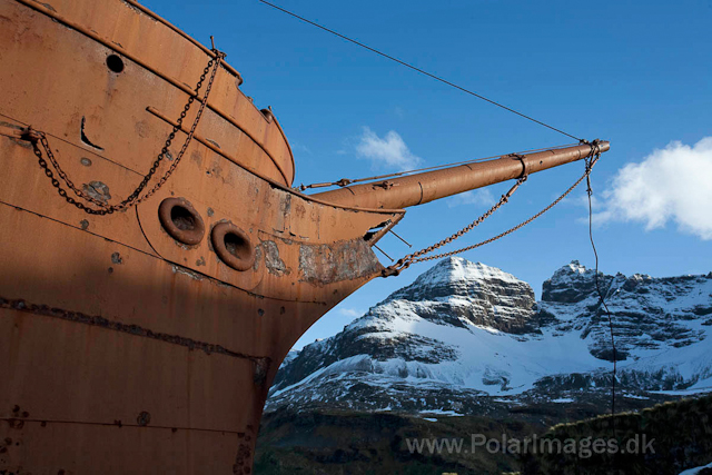 Prins Olav Harbour_MG_0553