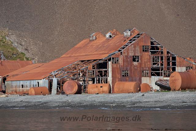 Stromness_MG_2012