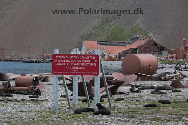 Stromness_MG_8005