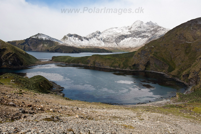 Cobblers Cove_MG_7823