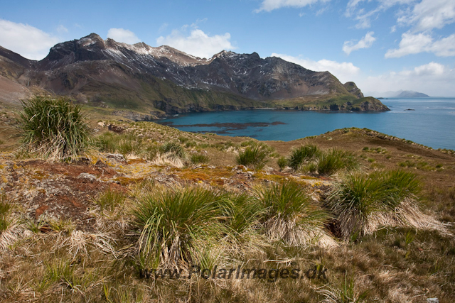 Rookery Point_MG_7835