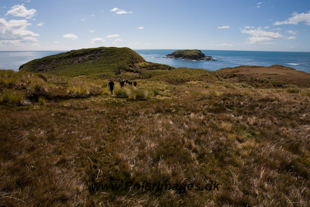 Rookery Point_MG_8052