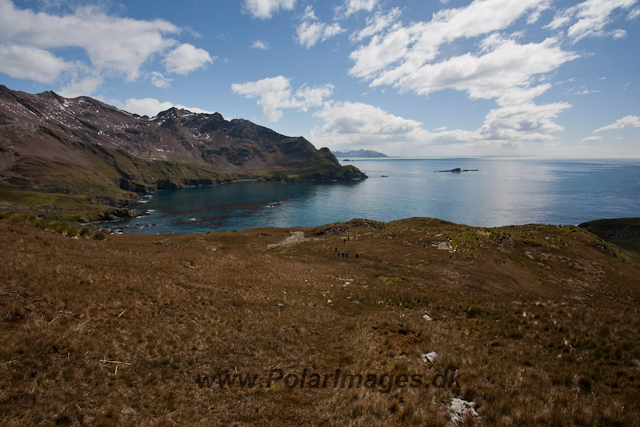 Rookery Point_MG_8053